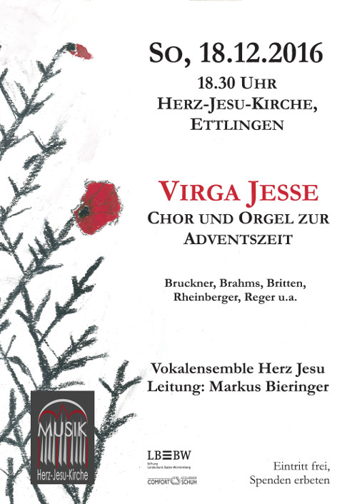 161218 virga jesse 500x706